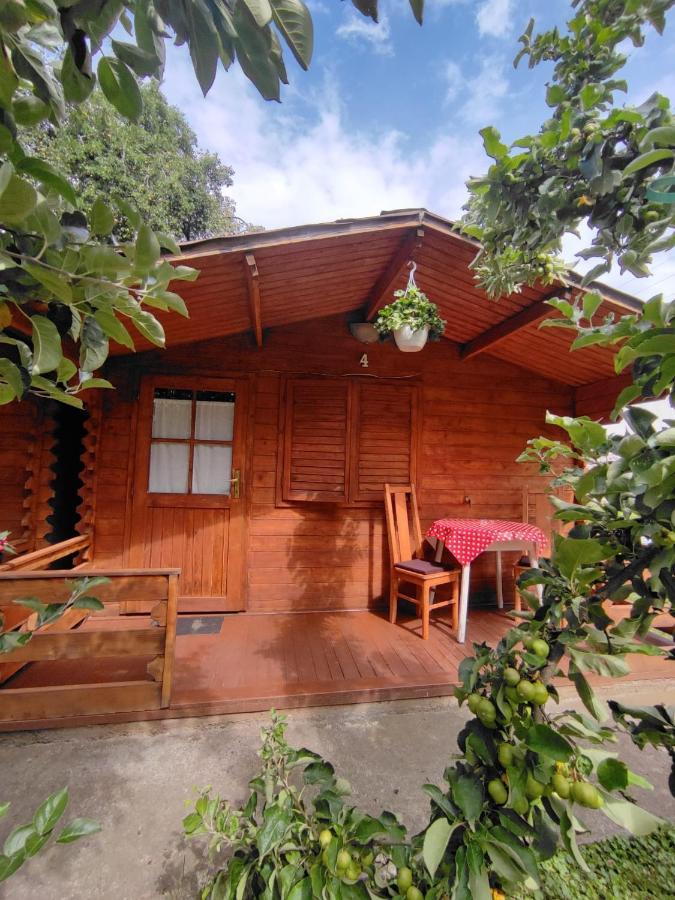 Harmonia-Lak Vendeghaz Villa เปรอิด ภายนอก รูปภาพ